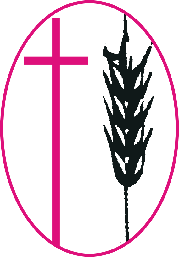 Pleroma Missions Logo